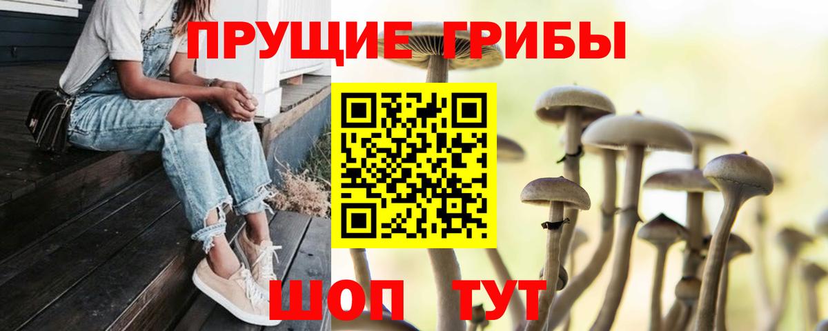Псилоцибиновые грибы Cubensis  Вход с VPN  Канск 